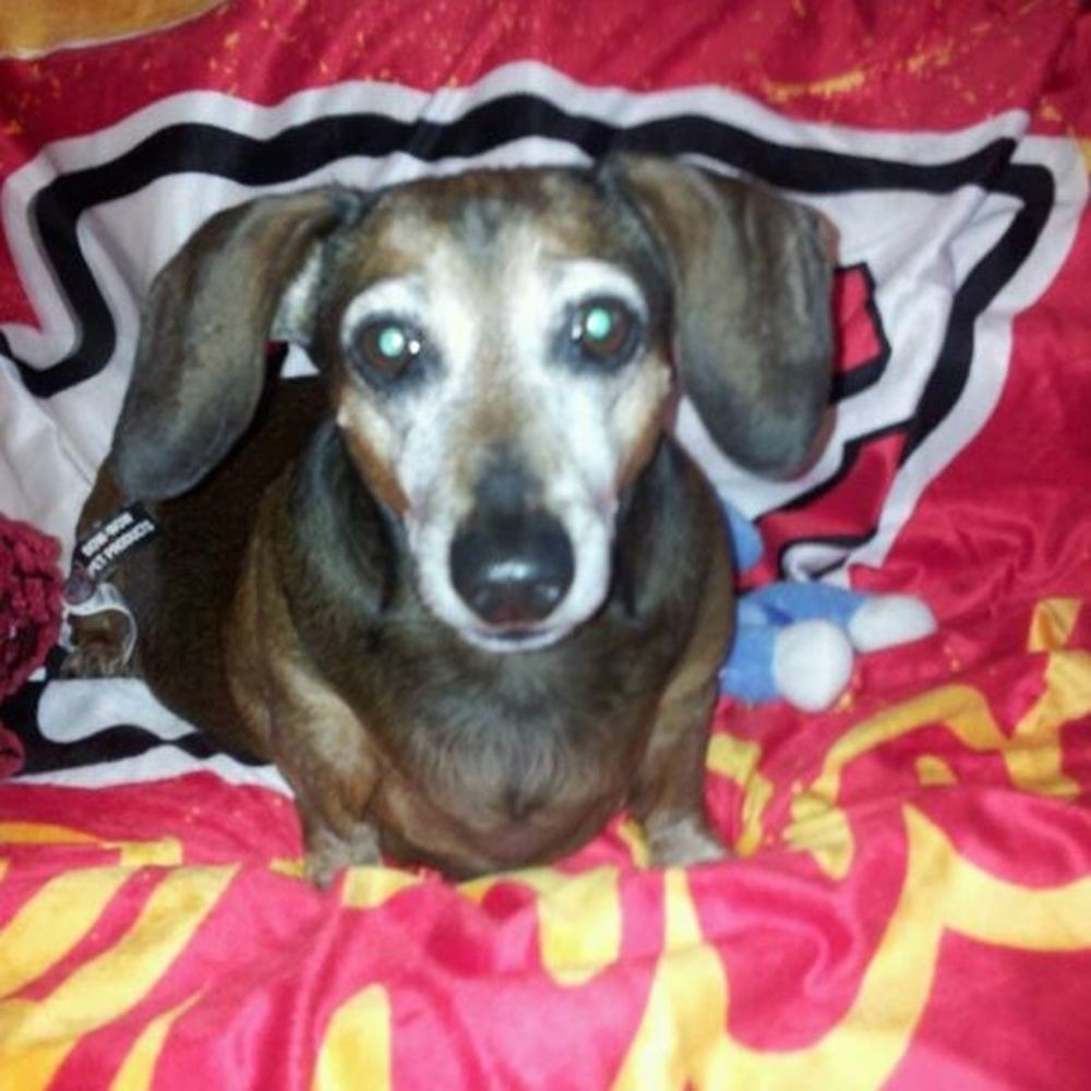 Meet your Posher, Diane